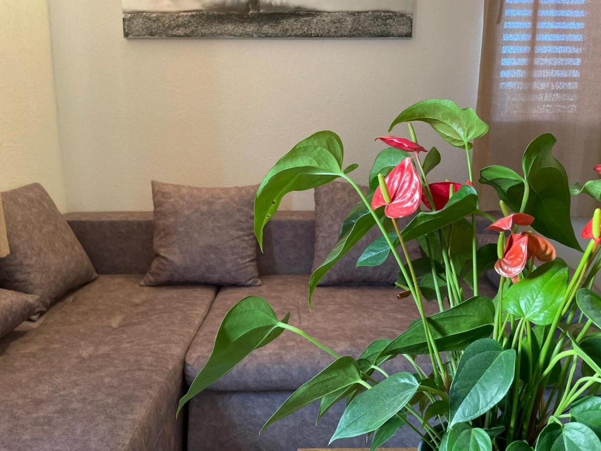 Studio Apartment Dona Trogir Extérieur photo